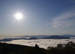 笹ヶ峰高原へ上がる途中の雲海