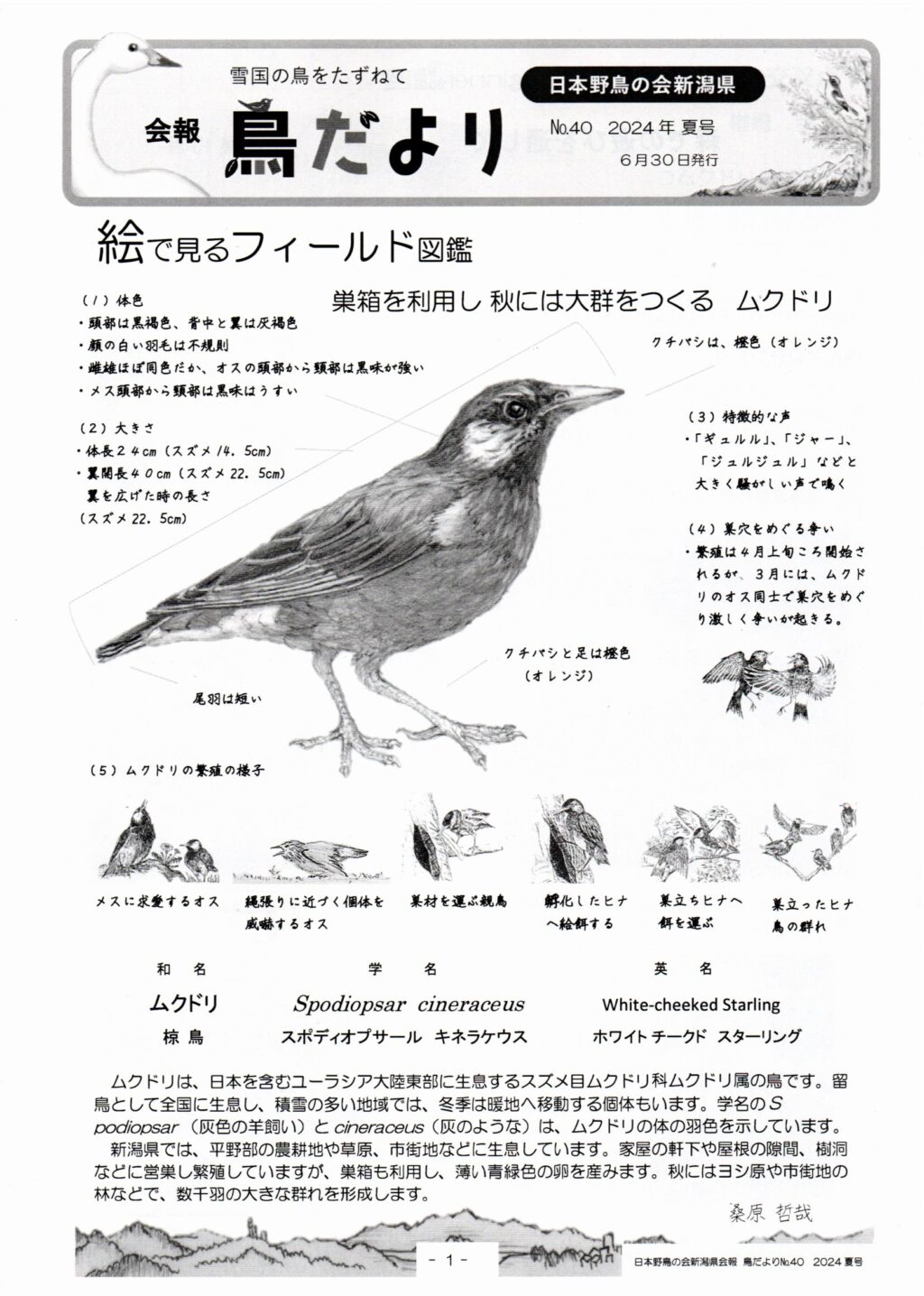 花鳥様ご確認ページ 野鳥観察・野鳥撮影についてのお願い | みかも山公園